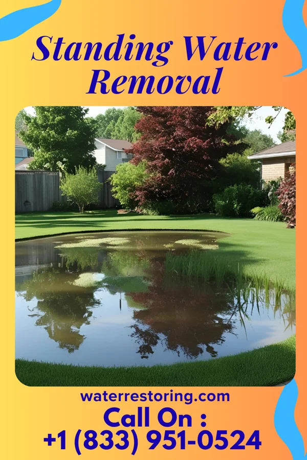 Standing Water Removal in Novelty, MO